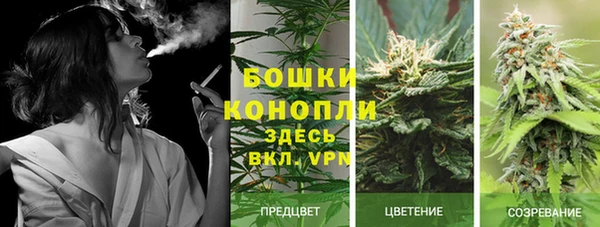 трава Костерёво