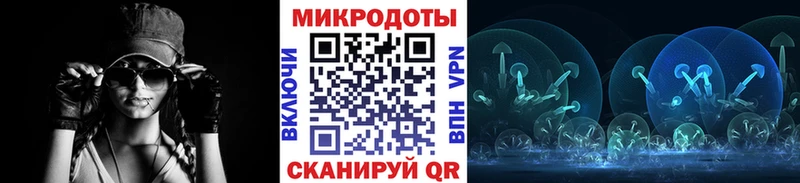 Псилоцибиновые грибы Psilocybe  Купить закладки  Завитинск 